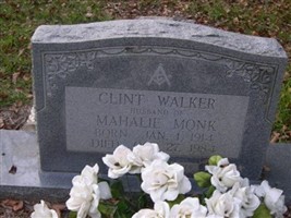 Clint Walker