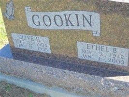 Clive Homer Gookin
