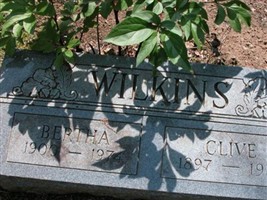 Clive Wilkins