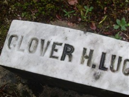 Clover H Lucas