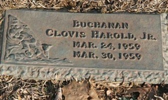 Clovis Harold Buchanan, Jr (2278826.jpg)