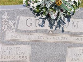 Cluster Grissom