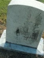 C. M. Spell
