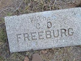 C. O. Freeburg