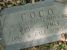 Coco Powdall