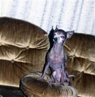 CoCo Wilson CoCo Wilson