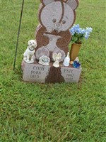 Cody Louis Pate