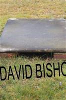 Col David Bishop