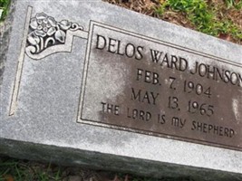 Col. Delos Ward Johnson Col. Delos Ward Johnson