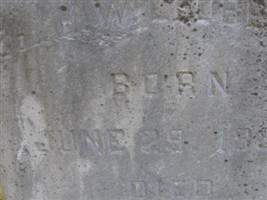 Col Henry Wall Ledbetter