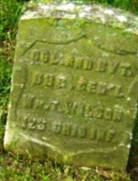 Col William T Wilson Col William T Wilson
