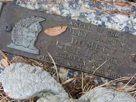 Colby James Domec