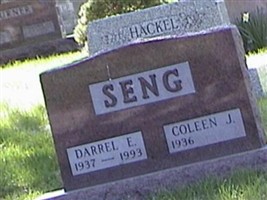 Coleen J. Seng Coleen J. Seng
