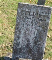 Colia Testerman