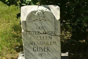 Colleen Gwendolen Gusek