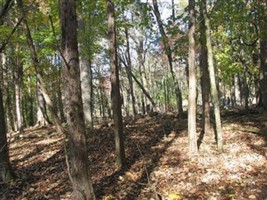 Colter Cemetery