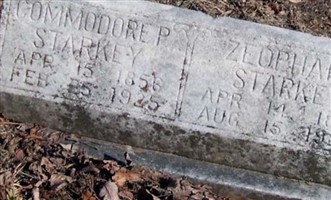 Commodore Perry Starkey Commodore Perry Starkey