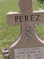 Concepsion M Perez Concepsion M Perez