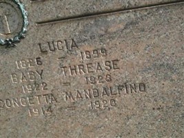 Concetta Mandalfino Concetta Mandalfino