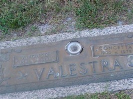 Concetta Valestra Concetta Valestra