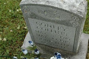 Conley Collins