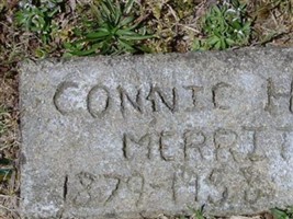 Connie H. Merritt