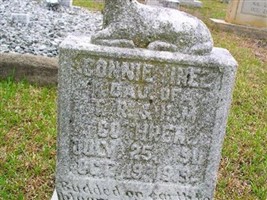 Connie Inez Cothren Connie Inez Cothren
