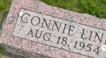 Connie Linn Huitt Connie Linn Huitt