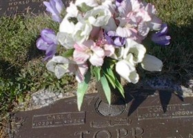 Connie Louise Barga Topp