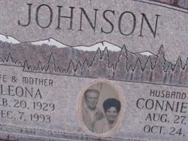 Connie Niel Johnson