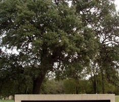 Cook Walden-Forest Oaks Cemetery