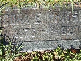 Cora Eliza Williams Whitson