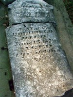 Cora J. Holifield (2042786.jpg)