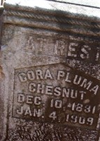 Cora Pluma Chesnut