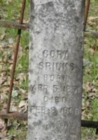 Cora Spinks Cora Spinks