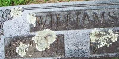 Cordelia Josephine Branson Williams Cordelia Josephine Branson Williams