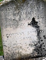 Corinne Shields Game