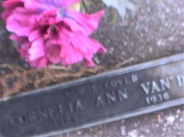 Cornelia Ann VanDam