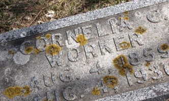Cornelia C Worker