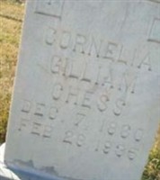 Cornelia Gilliam Chess