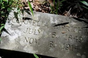 Cornelia H Byrd Prichard Cornelia H Byrd Prichard