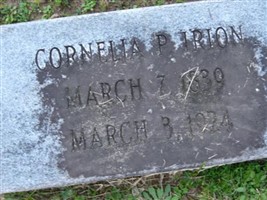 Cornelia P Irion