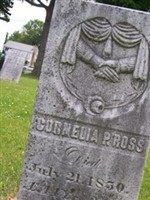 Cornelia Pam Dow Ross