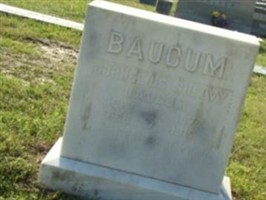 Cornelius Shelvy Baucum
