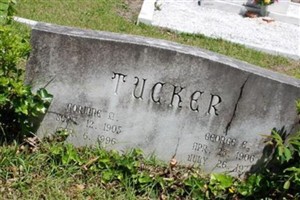 Corrine M Tucker