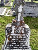 Corrine Shelton