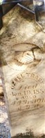 Cortena A. Trask