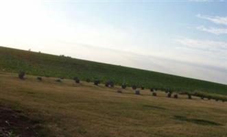 County Farm Cemetery