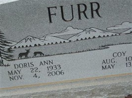 Coy Lee Furr