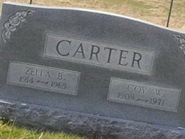 Coy W. Carter
